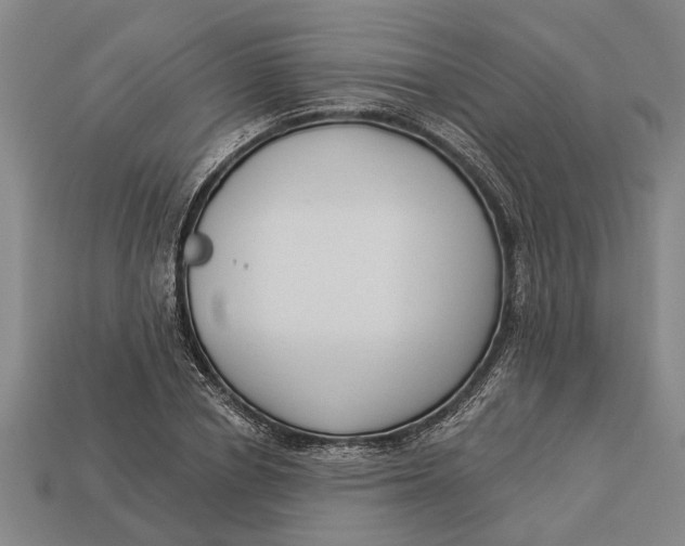 X0000112960834200909171256