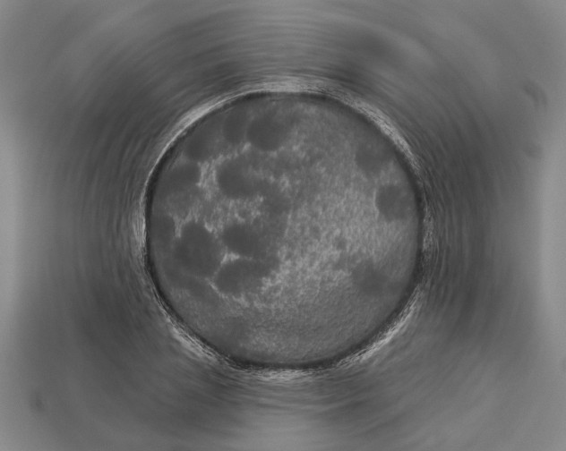 X0000112960837200909171256