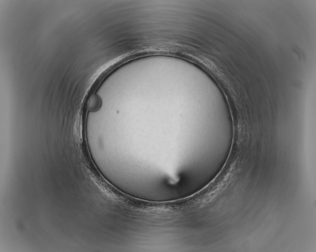 X0000112960838200909171256