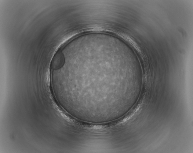 X0000112960839200909171256