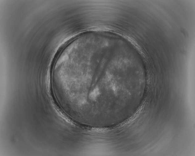 X0000112960840200909171256