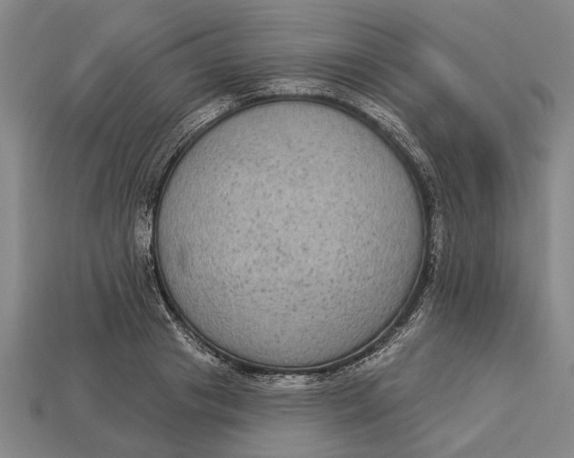 X0000112960841200909171256