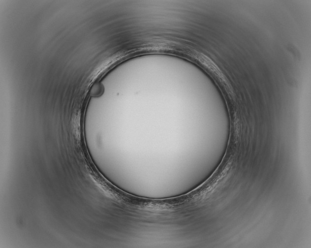 X0000112960842200909171256