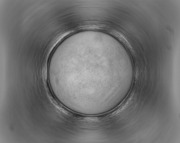 X0000112960844200909171256