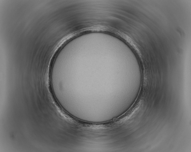 X0000112960845200909171256