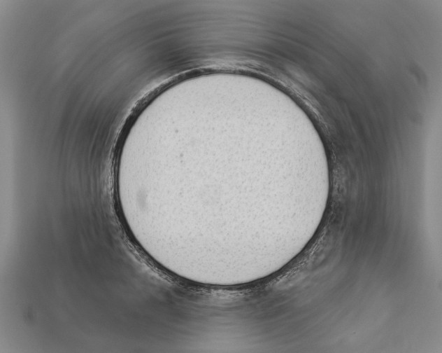 X0000112960848200909171256