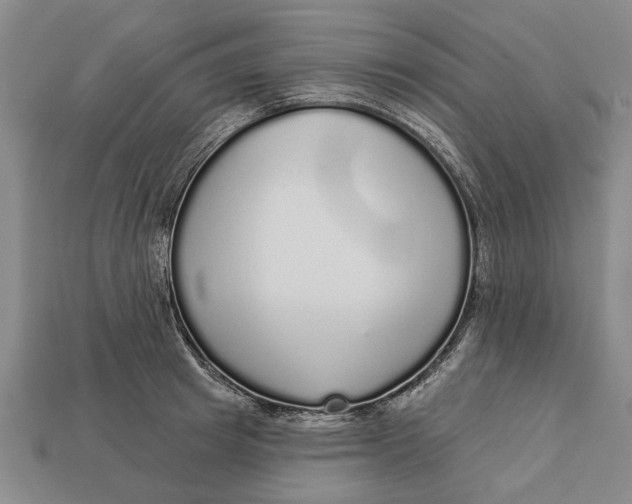 X0000112960849200909171256