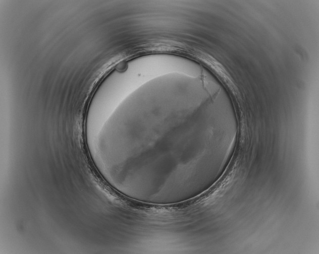 X0000112960850200909171256