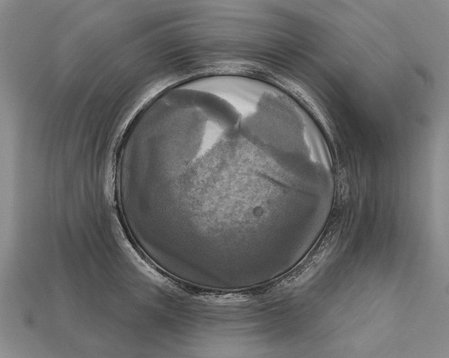 X0000112960851200909171256