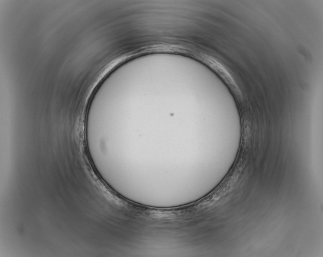 X0000112960852200909171256