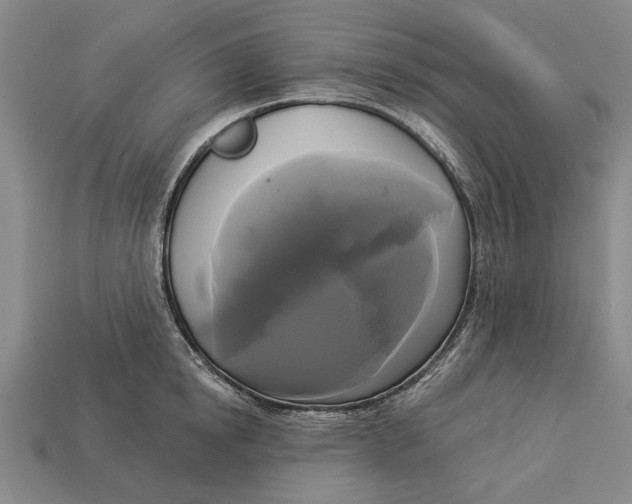 X0000112960854200909171256