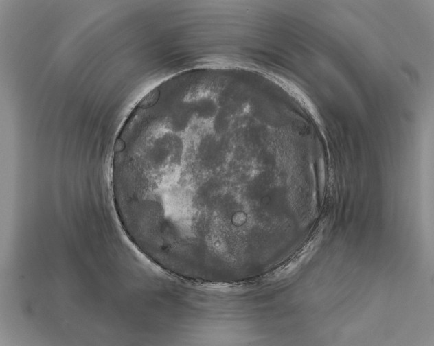 X0000112960855200909171256