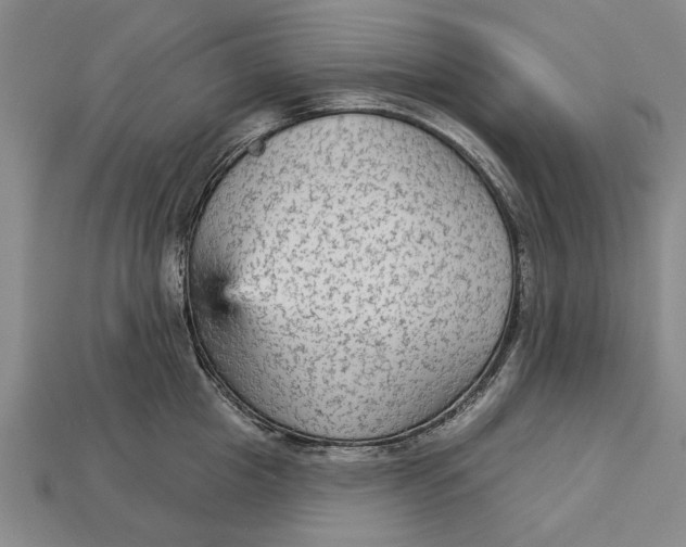 X0000112960857200909171256