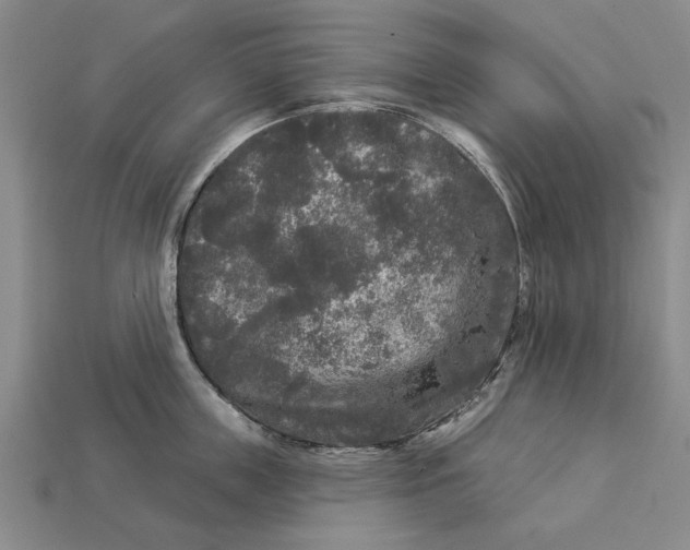 X0000112960859200909171256