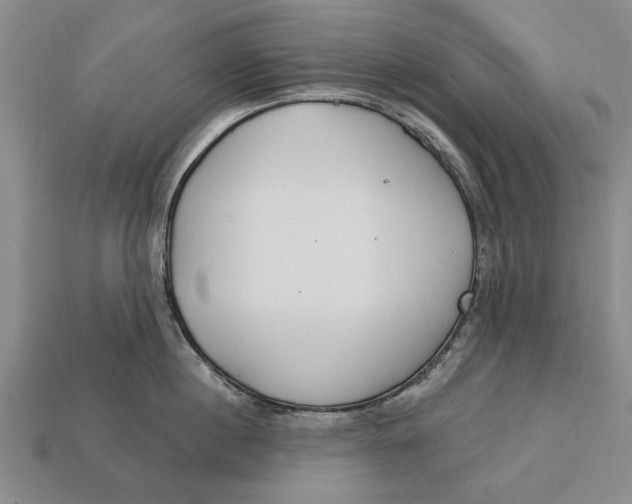 X0000112960860200909171256