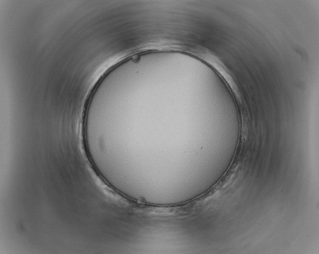 X0000112960861200909171256