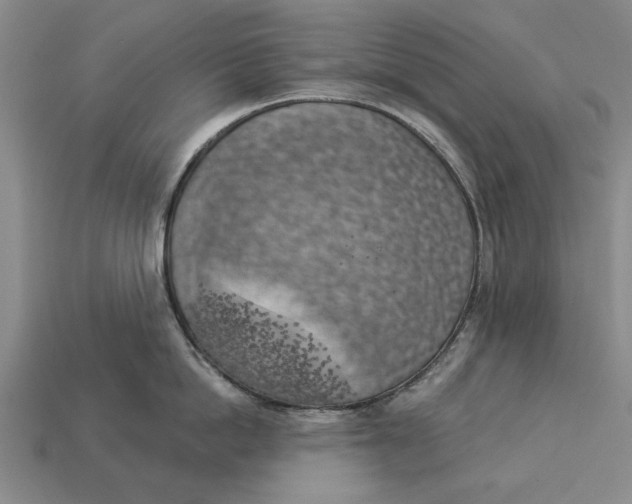 X0000112960862200909171256