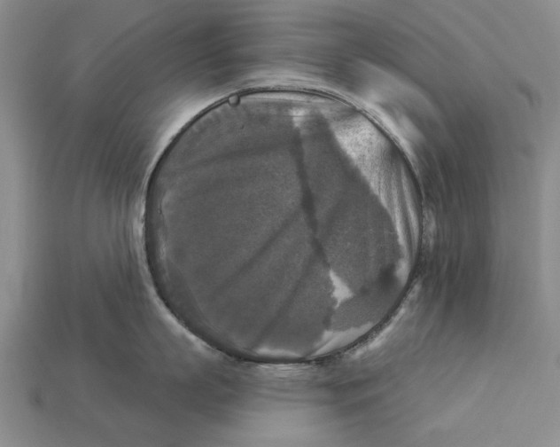 X0000112960863200909171256