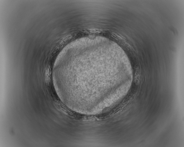 X0000112960866200909171255