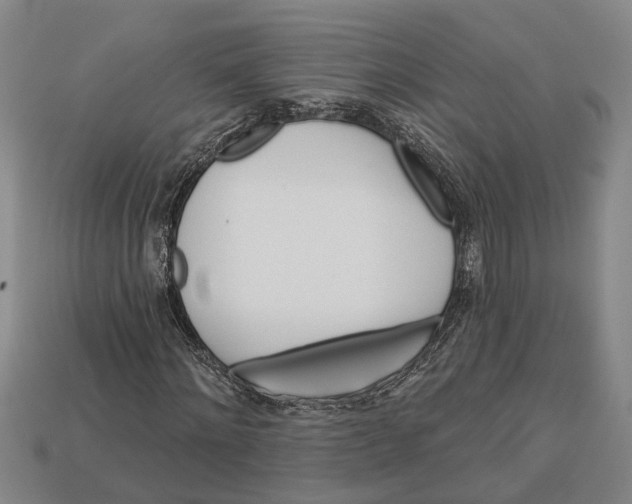 X0000112960868200909171255