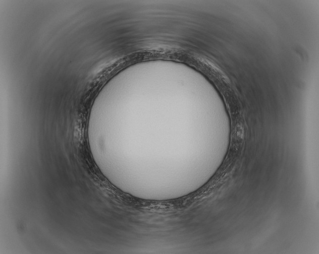 X0000112960869200909171255