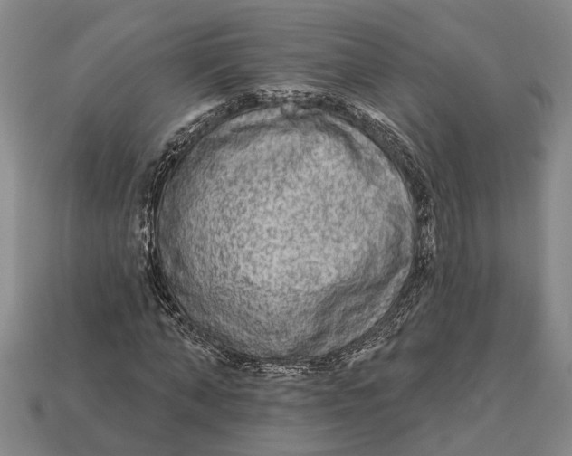 X0000112960870200909171255