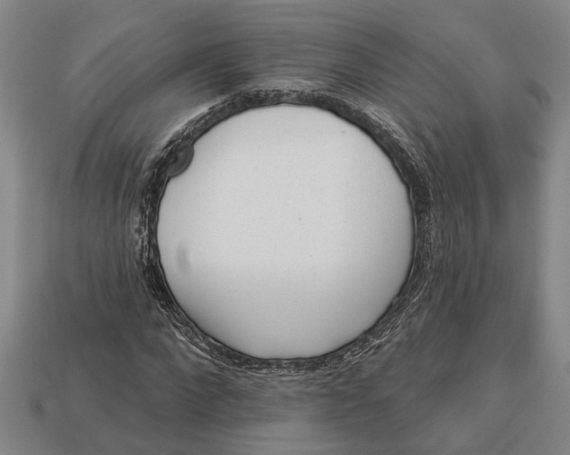 X0000112960872200909171255