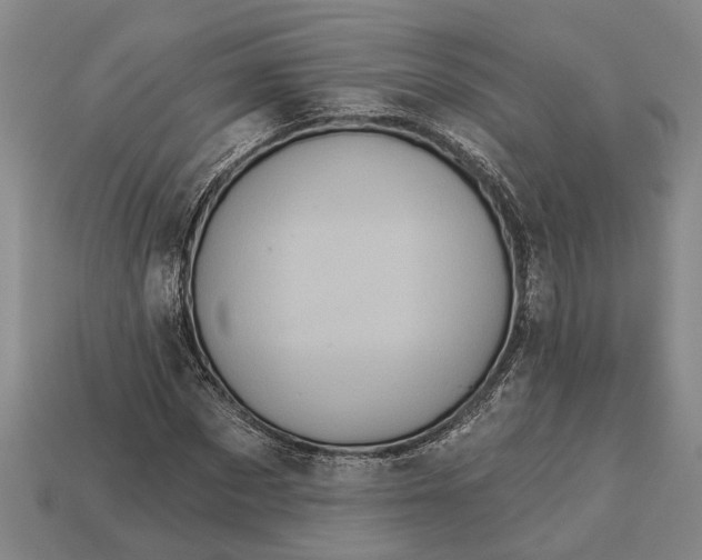 X0000112960873200909171255