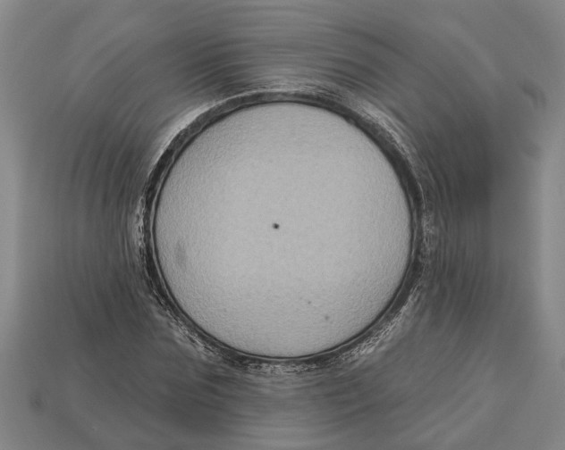 X0000112960875200909171255