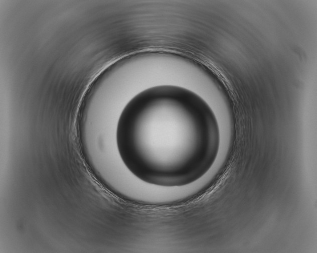 X0000112960876200909171255