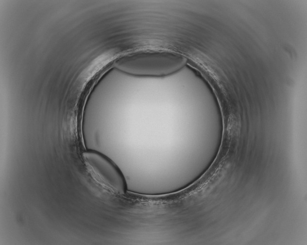 X0000112960877200909171255