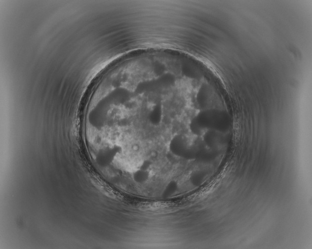 X0000112960879200909171255