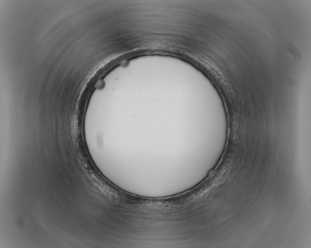 X0000112960880200909171255