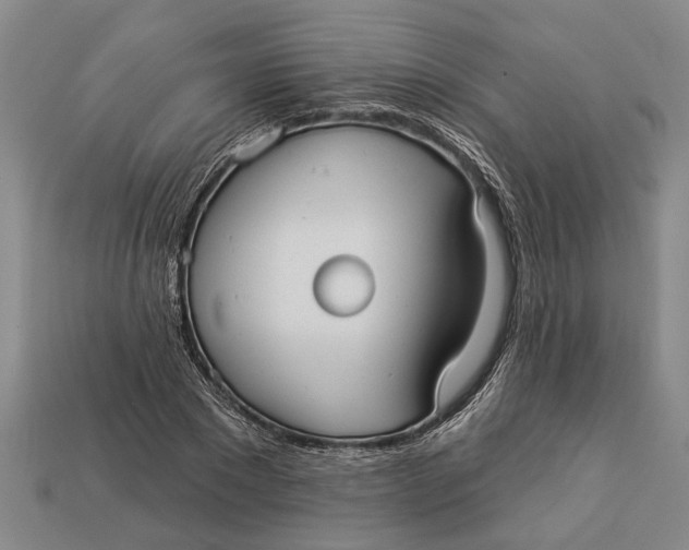 X0000112960881200909171255