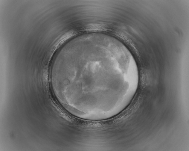 X0000112960882200909171255