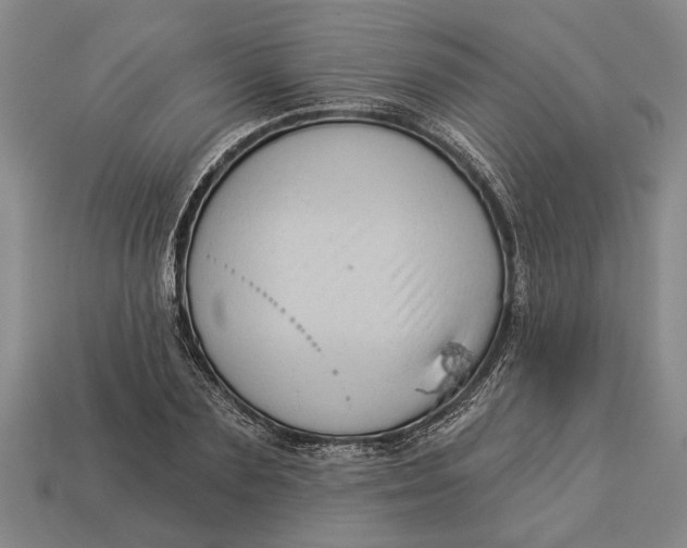 X0000112960883200909171255