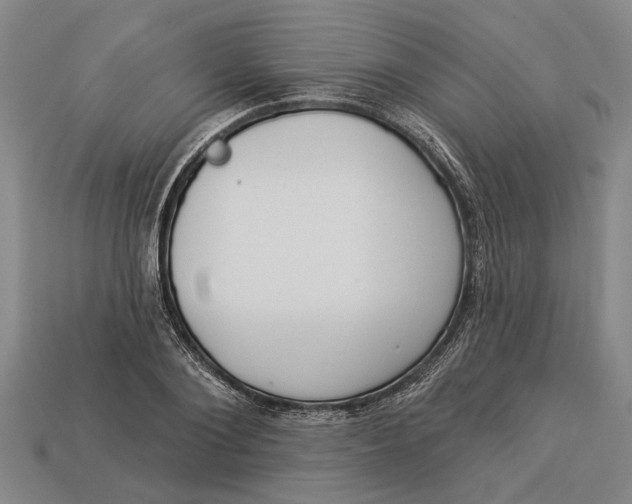 X0000112960884200909171255