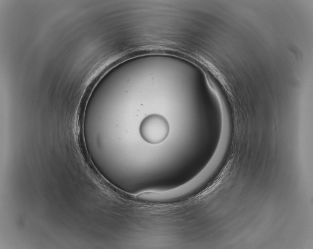 X0000112960885200909171255