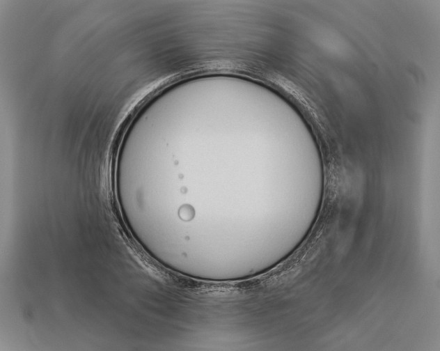 X0000112960886200909171255