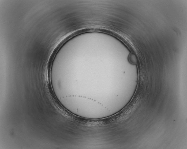 X0000112960887200909171255