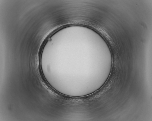 X0000112960888200909171255