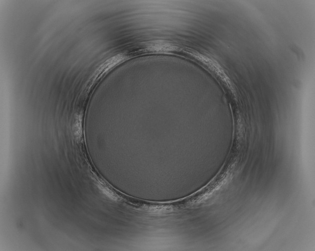 X0000112960889200909171255