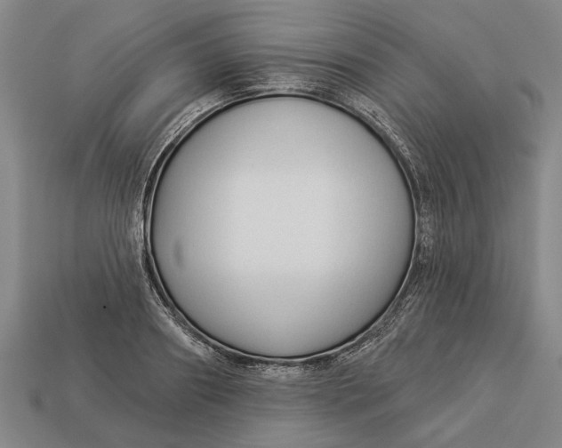 X0000112960890200909171255