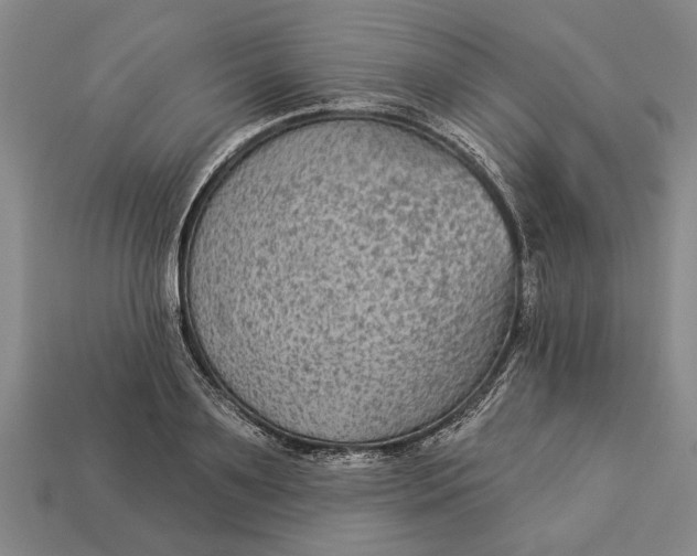 X0000112960891200909171255