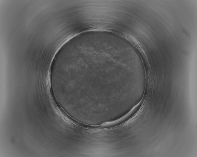 X0000112960892200909171255