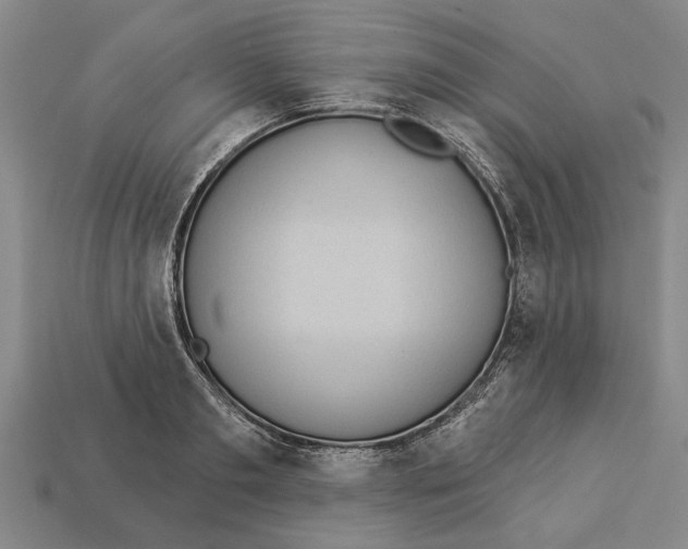 X0000112960893200909171255