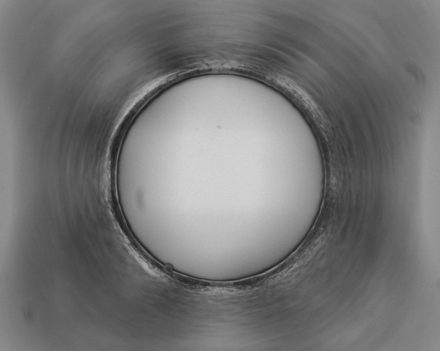 X0000112960894200909171255