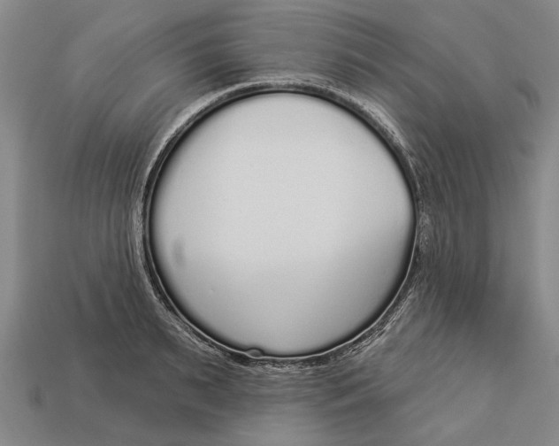 X0000112960895200909171255