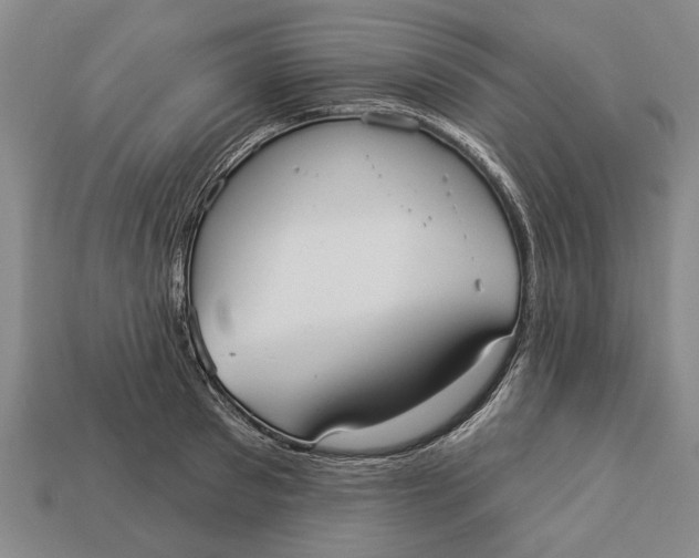 X0000112960897200909171255