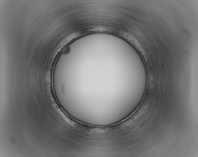 X0000112960898200909171255